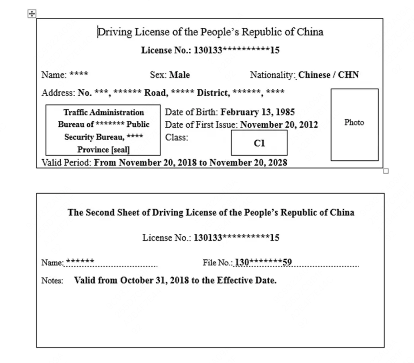 驾驶证翻译示例